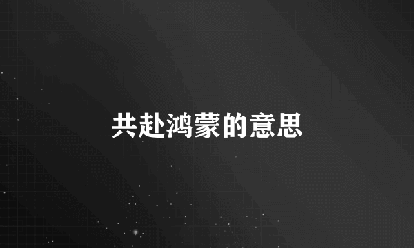 共赴鸿蒙的意思