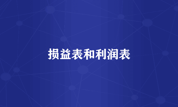 损益表和利润表