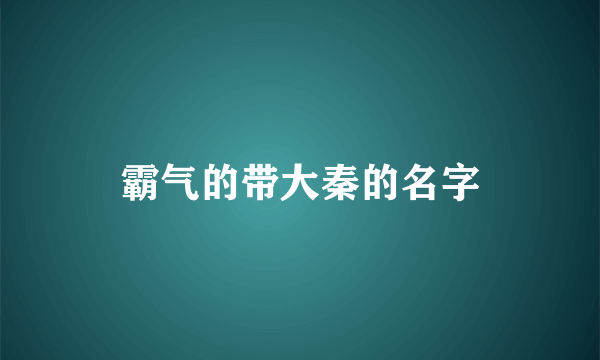 霸气的带大秦的名字