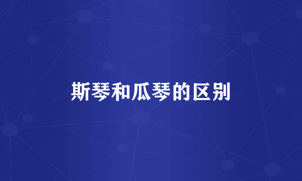 斯琴和瓜琴的区别