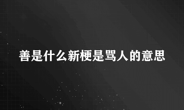 善是什么新梗是骂人的意思