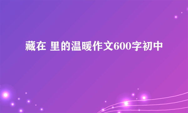 藏在 里的温暖作文600字初中