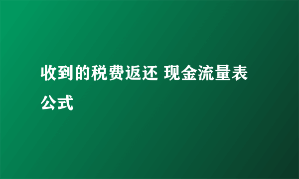收到的税费返还 现金流量表公式