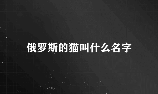 俄罗斯的猫叫什么名字