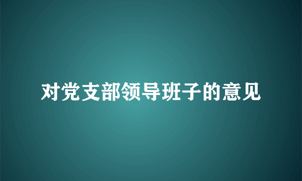 对党支部领导班子的意见