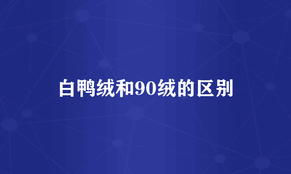 白鸭绒和90绒的区别