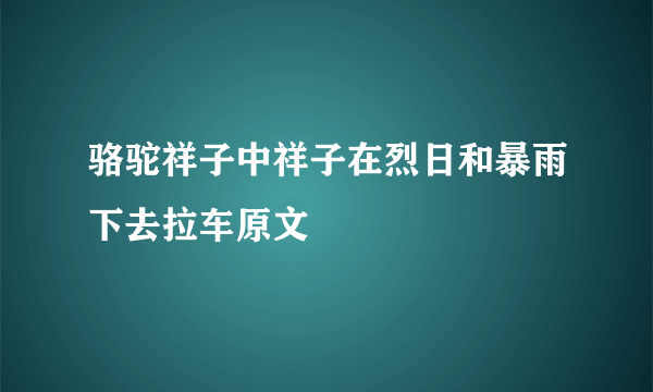 骆驼祥子中祥子在烈日和暴雨下去拉车原文