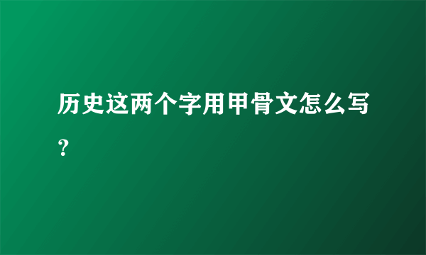 历史这两个字用甲骨文怎么写？