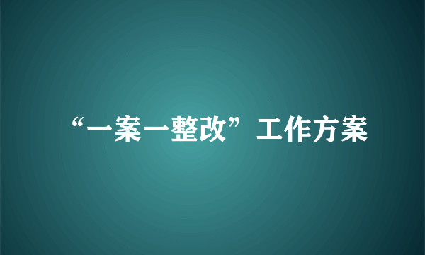 “一案一整改”工作方案