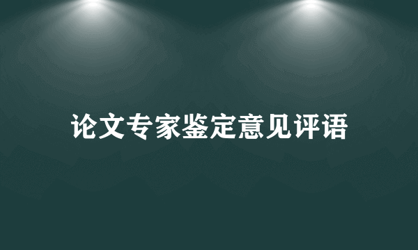 论文专家鉴定意见评语