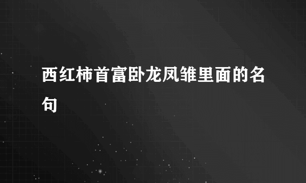 西红柿首富卧龙凤雏里面的名句