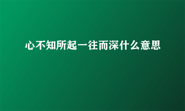 心不知所起一往而深什么意思