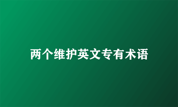 两个维护英文专有术语