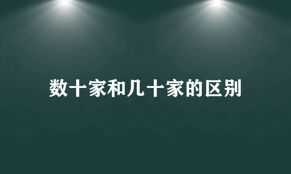 数十家和几十家的区别