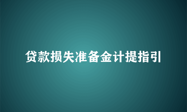 贷款损失准备金计提指引