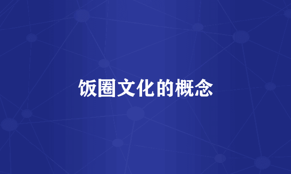 饭圈文化的概念