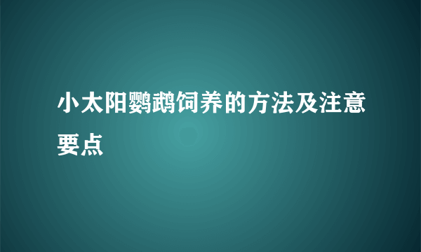 小太阳鹦鹉饲养的方法及注意要点