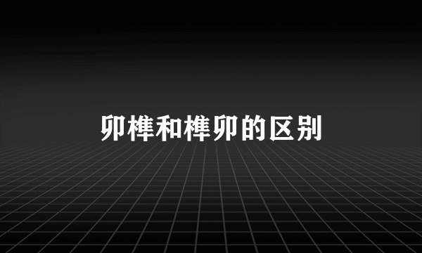 卯榫和榫卯的区别