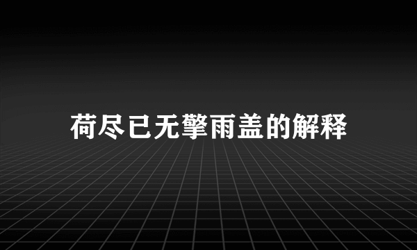 荷尽已无擎雨盖的解释
