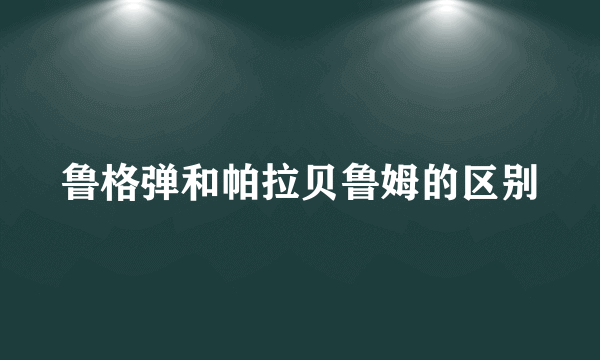鲁格弹和帕拉贝鲁姆的区别