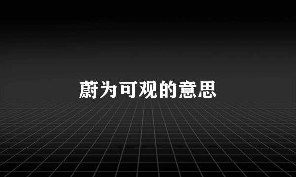 蔚为可观的意思