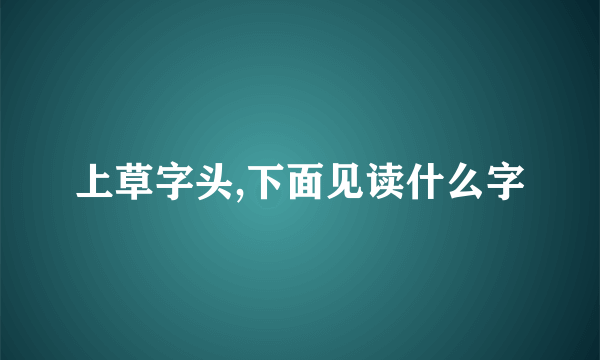上草字头,下面见读什么字