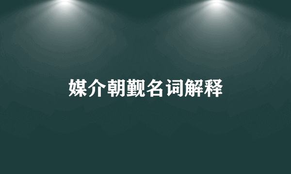 媒介朝觐名词解释