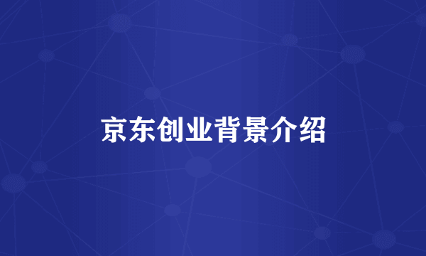京东创业背景介绍