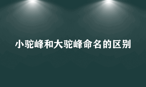 小驼峰和大驼峰命名的区别
