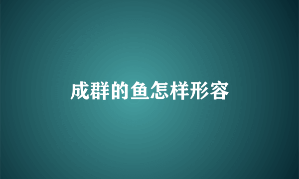 成群的鱼怎样形容