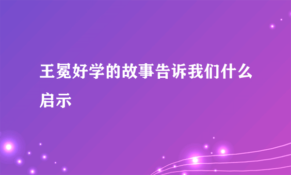 王冕好学的故事告诉我们什么启示