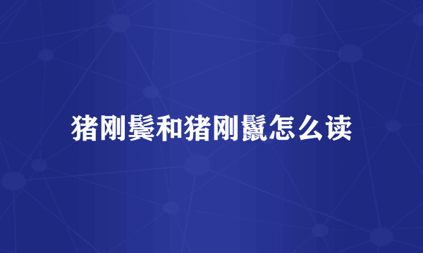 猪刚鬓和猪刚鬣怎么读