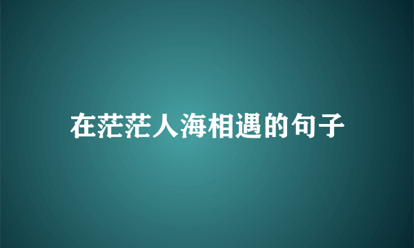 在茫茫人海相遇的句子