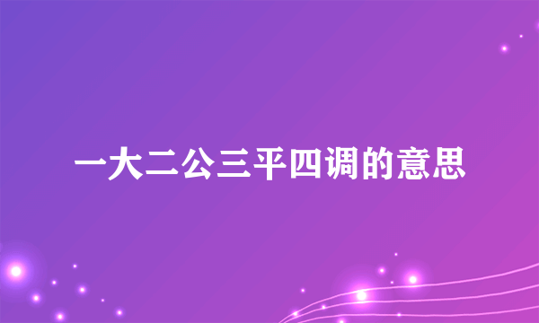 一大二公三平四调的意思
