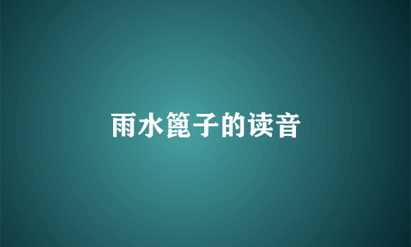 雨水篦子的读音