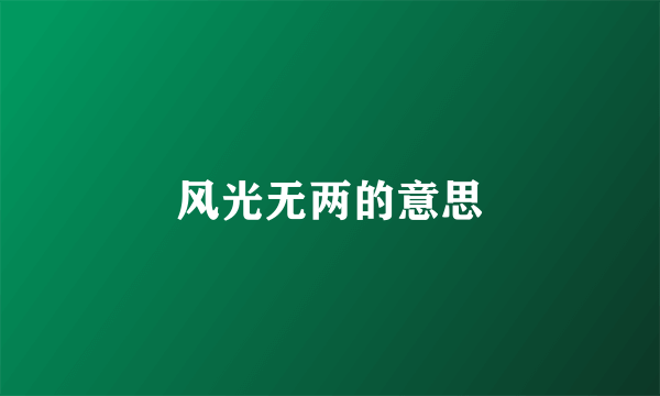 风光无两的意思