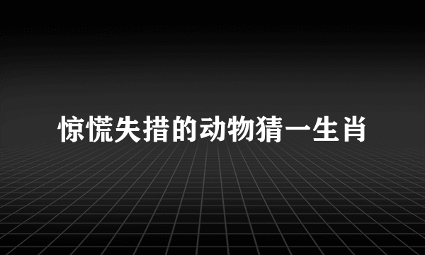 惊慌失措的动物猜一生肖