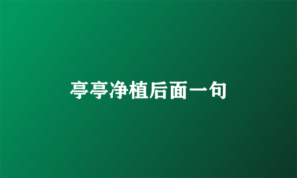 亭亭净植后面一句