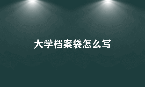 大学档案袋怎么写