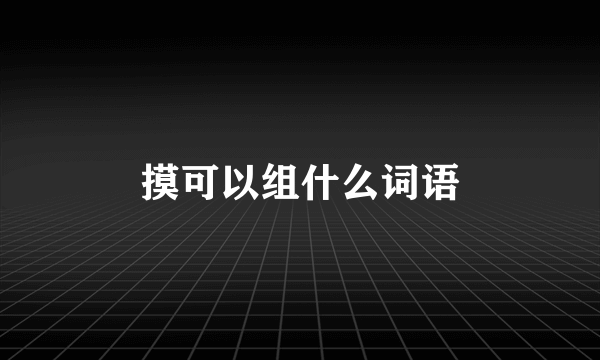 摸可以组什么词语