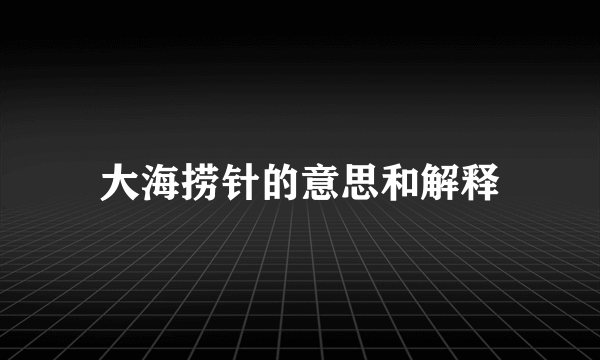 大海捞针的意思和解释