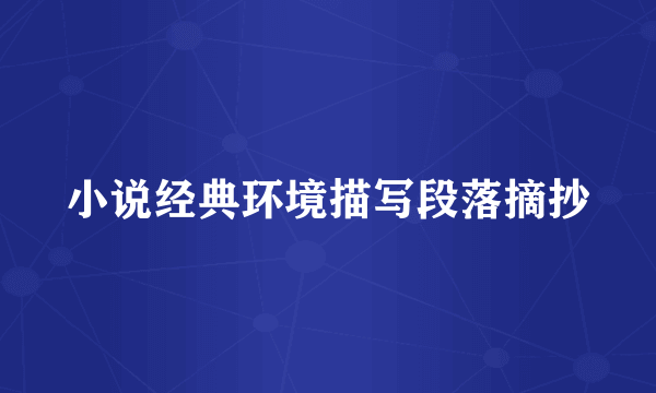 小说经典环境描写段落摘抄
