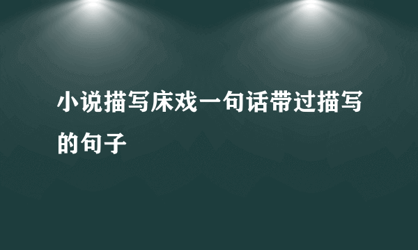 小说描写床戏一句话带过描写的句子