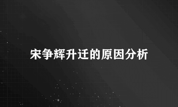 宋争辉升迁的原因分析