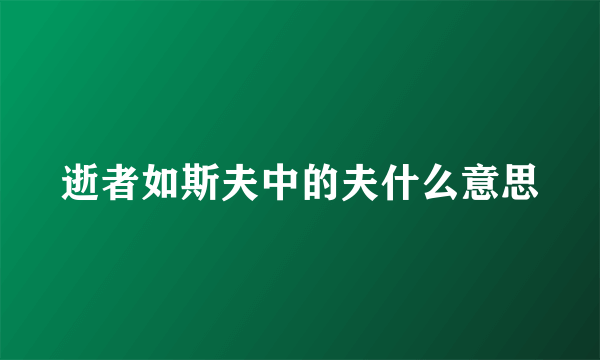 逝者如斯夫中的夫什么意思