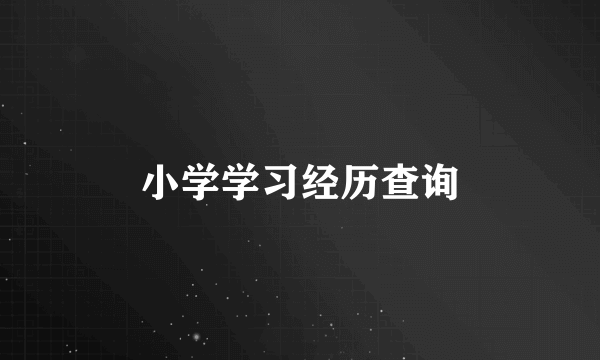小学学习经历查询