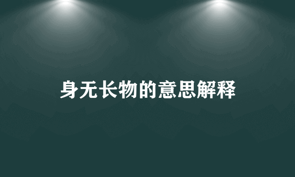 身无长物的意思解释