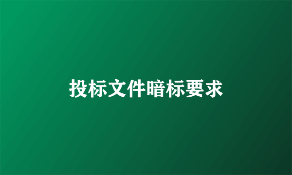 投标文件暗标要求