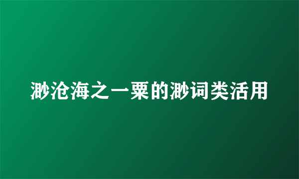 渺沧海之一粟的渺词类活用