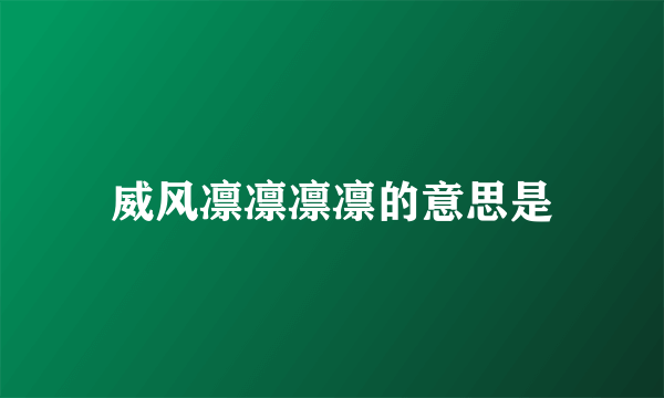 威风凛凛凛凛的意思是